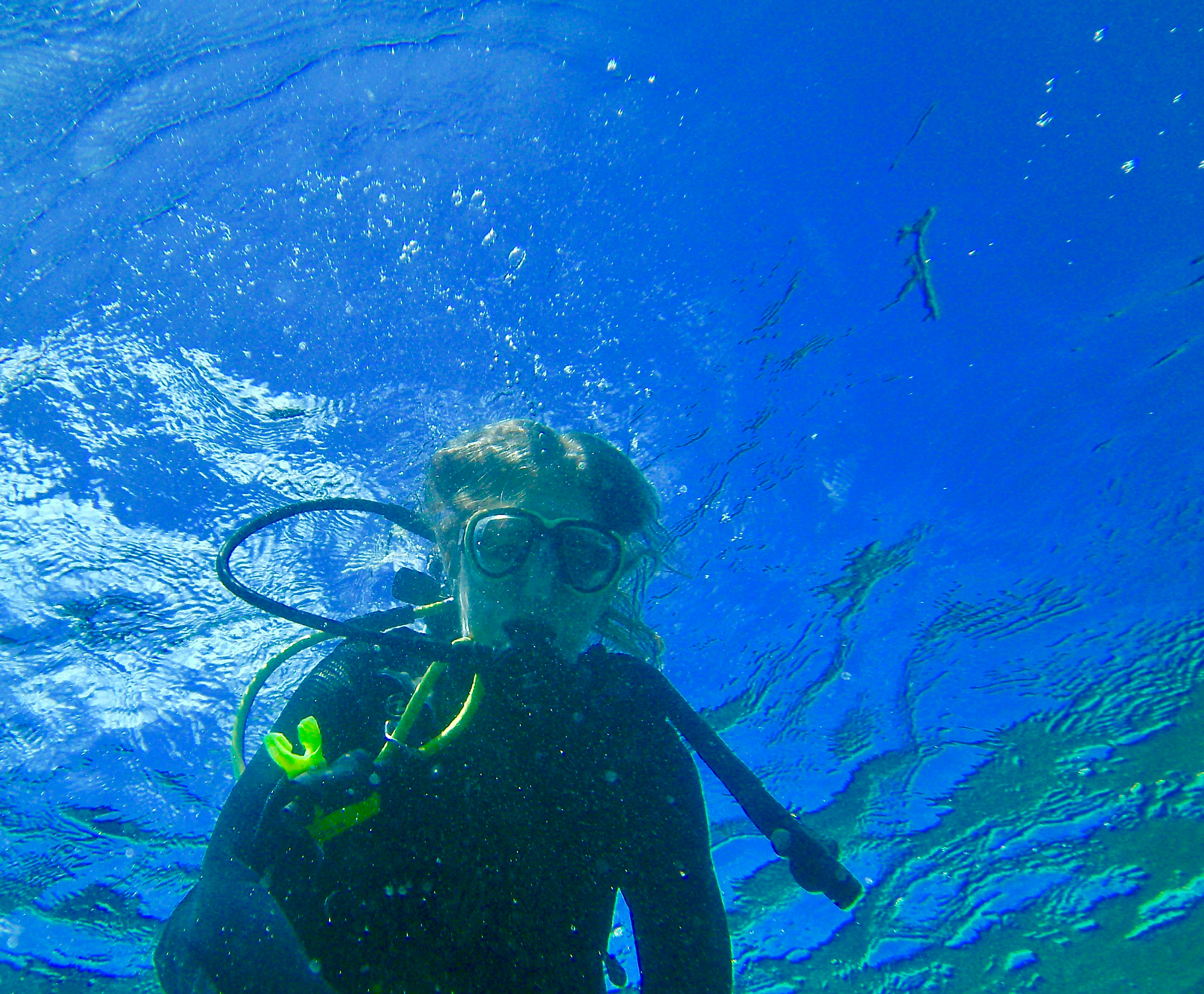 Whitestone diving profile picture
